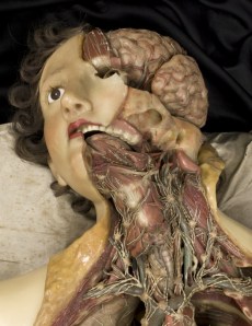 Wax anatomical model of a female showing internal organs, Florence, Italy, 1818 via io9