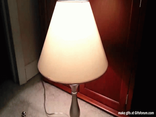 Flickering Light by Kid via Haunt Forum