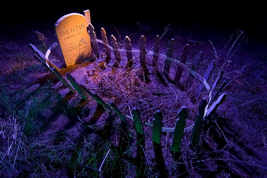 Presidio Pet Cemetery, Quentin the Evenrude Cat, Photographed by Troy Paiva