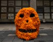 A skull covered in marigolds rests in front of a wall of graves, Mexico City, Oct. 27 2009 Halloween Day of the Dead Dia de los Muertos