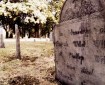 Example of Tombstone Weathering, late 1700's graveyard, Central Burying Ground cemetery, Boston, MA (13) Photographed by Eva Halloween