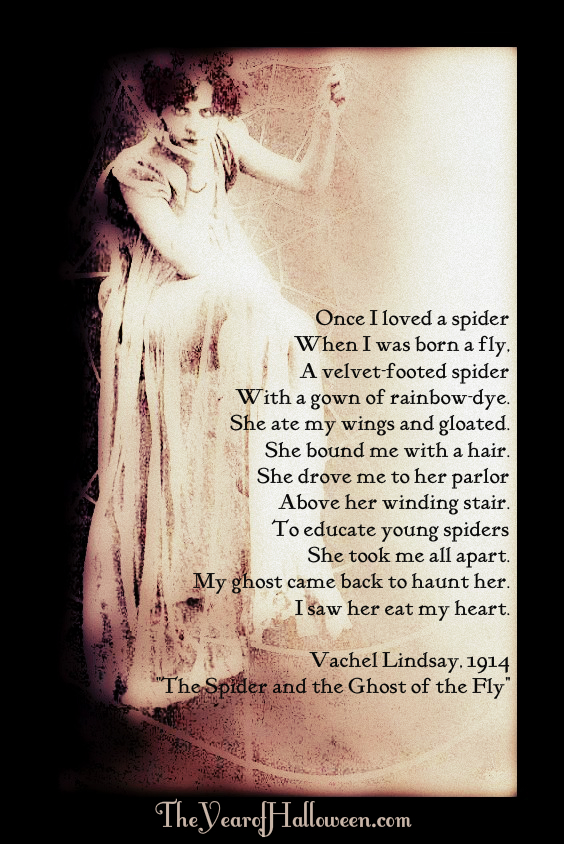 The Spider and the Ghost of the Fly