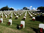 Ft. Rosecrans National Cemetery Graveyard Military Christmas Photograph Eva Halloween