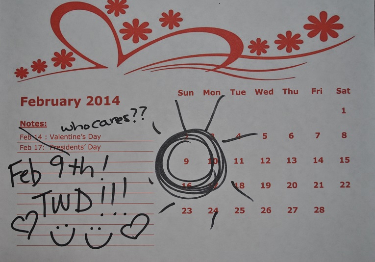 Mark your calenders for TWD's return February 9th!