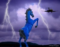 Denver Devil Horse in Lightning photgraphed by Susan Propper