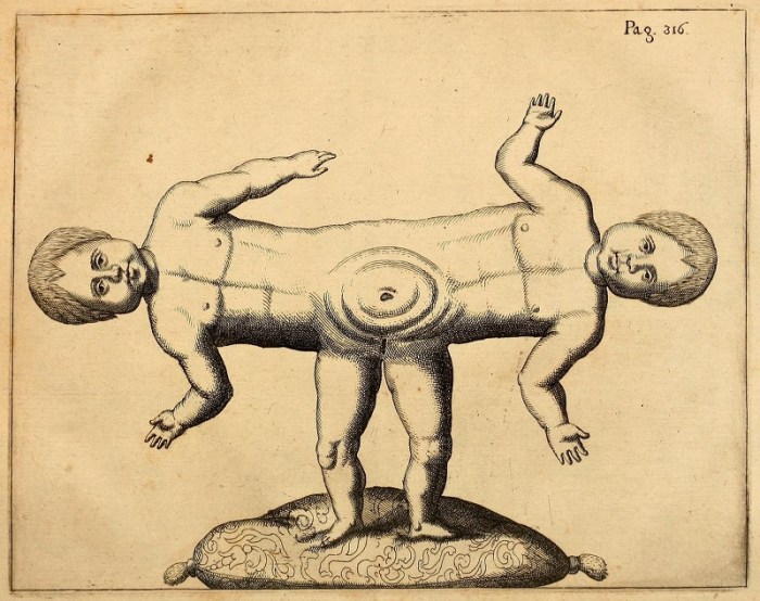 Fortunio Liceti illustration of 1665 via PublicDomainReview