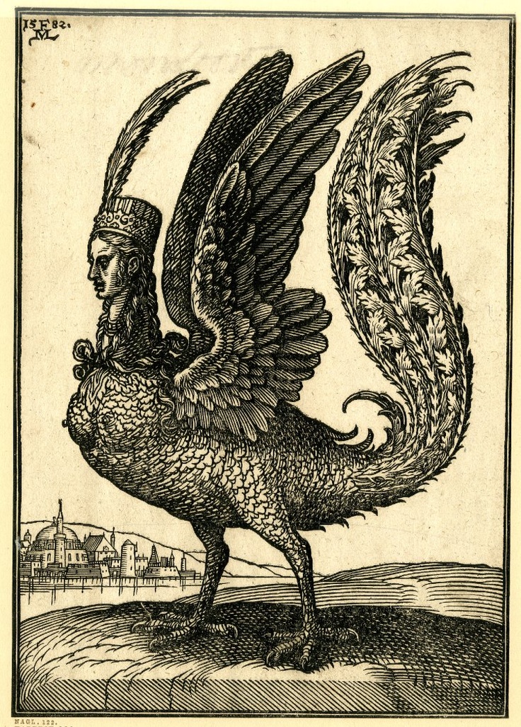 Harpy. engraving by Melchior Lorck, 1582, via paysagemauvais