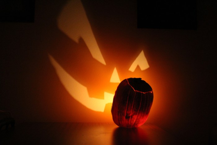 Pumpkin Projection Photographed by Matthew Gordon October 2010 via Wikipedia
