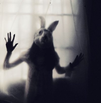 I dream with a rabbit by evamorgan on DeviantArt 2010